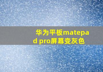 华为平板matepad pro屏幕变灰色